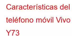 Características del teléfono móvil Vivo Y73