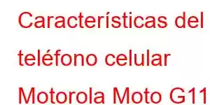 Características del teléfono celular Motorola Moto G111