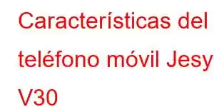 Características del teléfono móvil Jesy V30