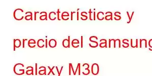 Características y precio del Samsung Galaxy M30 Características del teléfono móvil