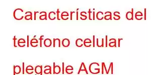 Características del teléfono celular plegable AGM