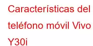 Características del teléfono móvil Vivo Y30i