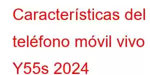 Características del teléfono móvil vivo Y55s 2024