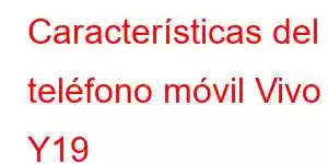 Características del teléfono móvil Vivo Y19